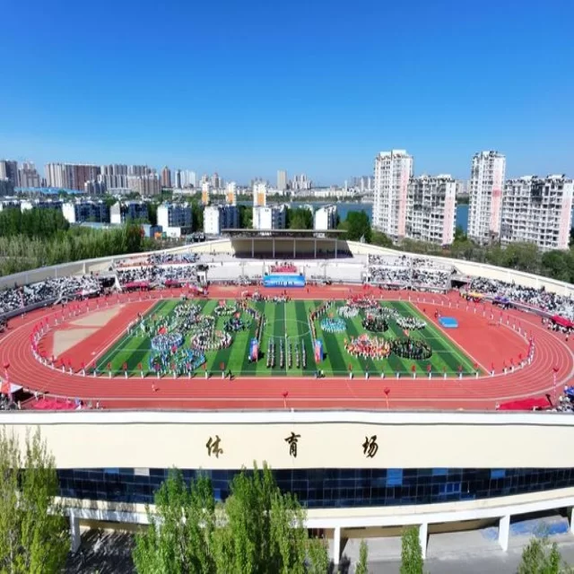 足球杯赛焦点对决：阵容分析第278组